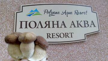 Фотографии Гостевой дом Polyana Aqua Resort г. Поляна (Украина) №5 Фото Гостевой дом Polyana Aqua Resort г. Поляна 5
