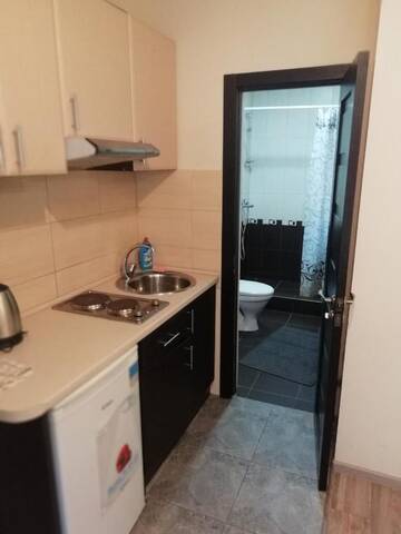 Фото номера Апартаменты с 1 спальней и балконом Мини-отель Aqua Vita Polyana г. Поляна 5