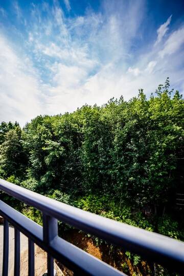 Фото номера Апартаменты с 1 спальней Апартаменты Апартаменты LUXURY LAVANDER г. Поляна 42