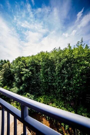 Фото номера Апартаменты с 1 спальней Апартаменты Апартаменты LUXURY LAVANDER г. Поляна 69